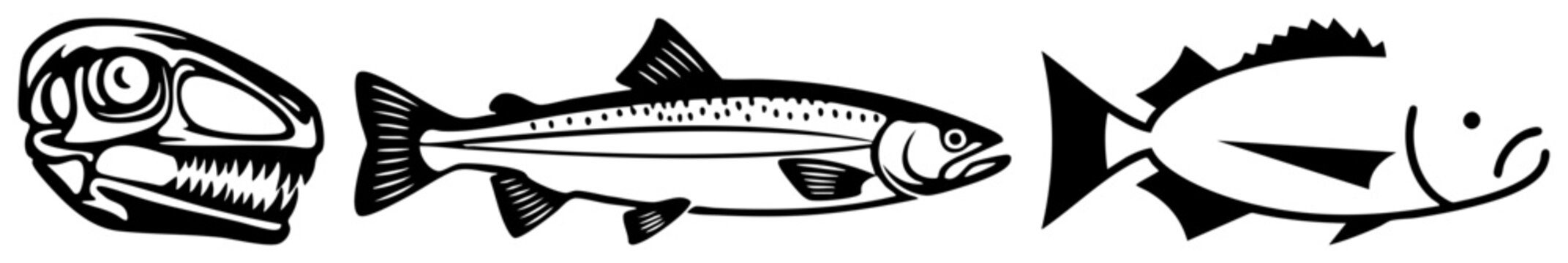 Fish illustrations in minimalist black and white, including skeletal fish, salmon, and stylized tuna, vector art, flat design, aquatic motifs.