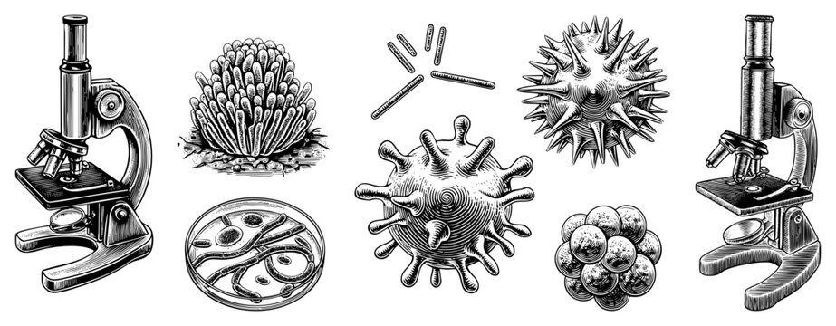 Vintage style scientific drawings of pathogens and microscopes, educational biology visuals, microbiology specimens, germ illustrations, lab tools, medical diagrams.