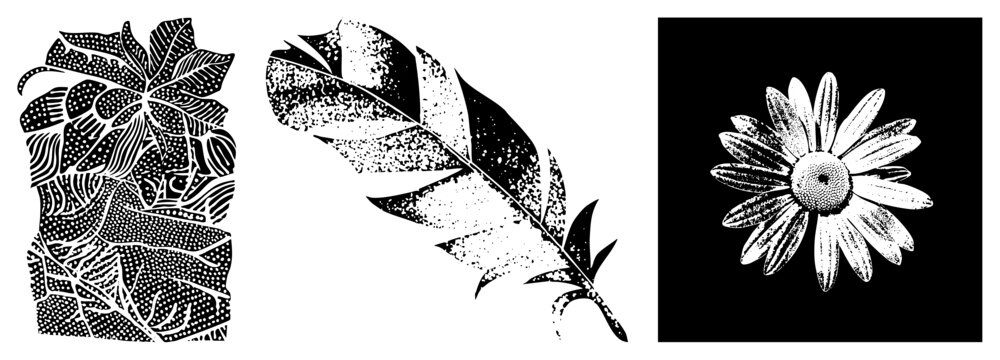 Artistic halftone on leaf, feather, and daisy botanical and ornamental design vector graphic with stippling texture.