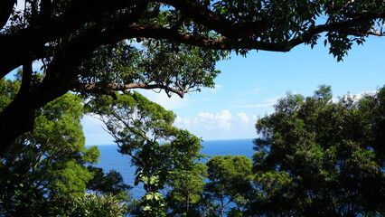 Fototapeta premium Tropical Island Scenery and Crystal Waters, Maui, Hawaii