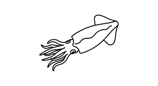 Minimalist Line Art Squid Illustration - Simple Seafood Icon