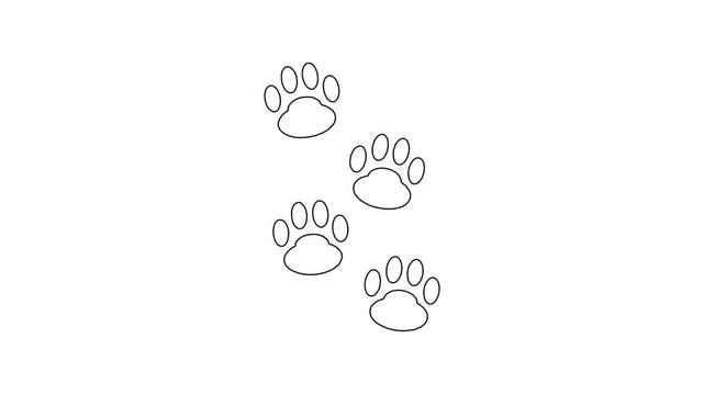 Whiteboard Animation of Animal Paw Print Track Path