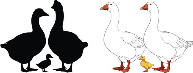 Obraz premium Silhouettes and detailed illustrations of birds in groups, elegant outline and color design symbolizing wildlife, nature, artistic themes