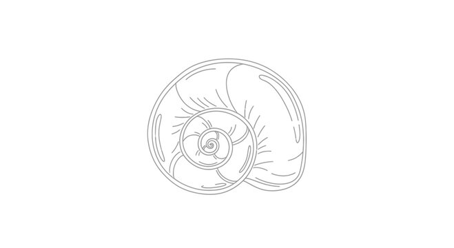 Minimalist Spiral Snail Shell Outline Drawing, Single Line Art, Vector Graphic