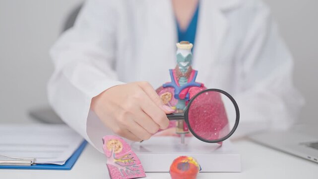 Doctor with Smoker Lung anatomy with magnifying glass. Lung Cancer, Asthma, Chronic Obstructive Pulmonary or COPD, Bronchitis, Emphysema, Cystic Fibrosis, Bronchiectasis, Pneumonia and world Lung day