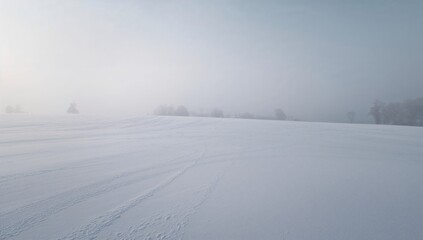 Obraz premium Snowy Landscape with Gentle Hills and Foggy Sky in Winter Scene