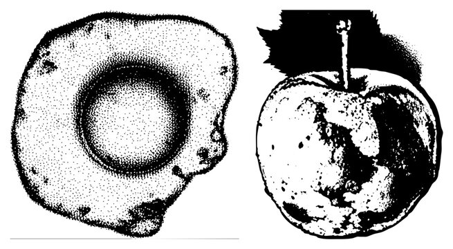 Halftone illustrated with bite mark and stem, circular textured object, graphic design elements, black and white vector art, stippled shading technique.