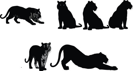 Flat vector illustration of black panther silhouettes, wild jungle animal, sitting walking stalking poses, wildlife predator graphic design element © Khaleda Creative