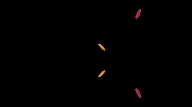 Floating Falling Leaves Flying Seamless Loop Animation With Alpha Channel