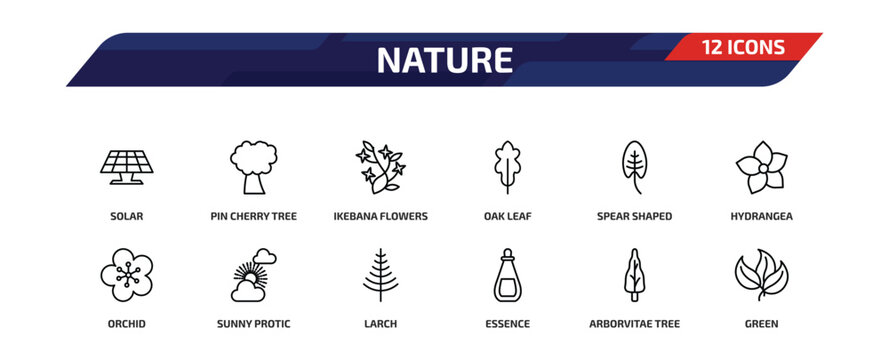 nature outline icon set. 12 linear vector for ui, web and mobile. thin line solar, pin cherry tree, ikebana flowers and more icons.