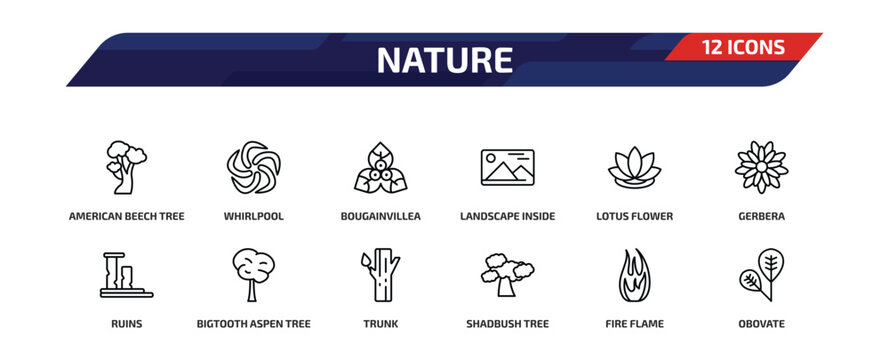 nature outline icon set. 12 linear vector for ui, web and mobile. thin line american beech tree, whirlpool, bougainvillea and more icons.