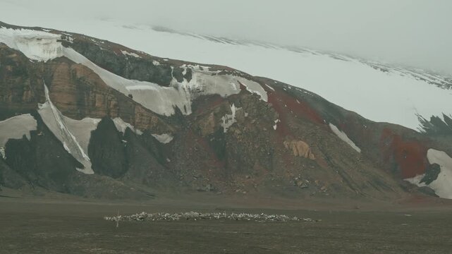 Dramatic rust-red layered volcanic slopes slashed with bold snow fields tower over tiny whaling cemetery on dark ash plain at Whalers Bay, Deception Island, Antarctica