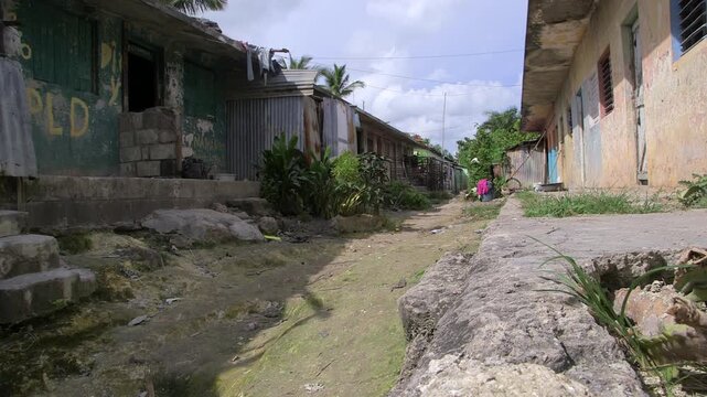 Narrow dirt lane between graffiti-covered green and ochre dwellings, laundry hanging, plants, scattered debris in migrant sugar worker community