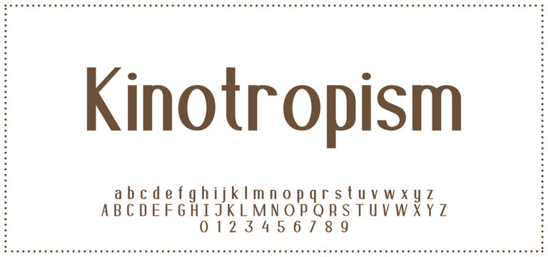 Beauty Luxury font alphabet logo. Typography beautiful fashion elegant classic letters serif italic fonts decorative wedding vintage blossom logos. vector illustratio