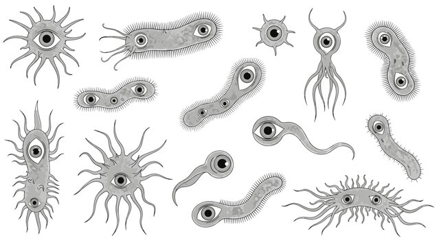Large collection of various microscopic organisms such as bacteria and germs are depicted as stylized one-eyed creatures in gray tones.
