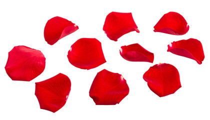 Fototapeta premium A collection of vibrant red rose petals scattered across a solid black background