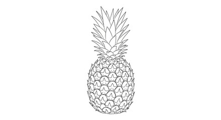 Obraz premium Pineapple Outline Drawing - Tropical Fruit Illustration