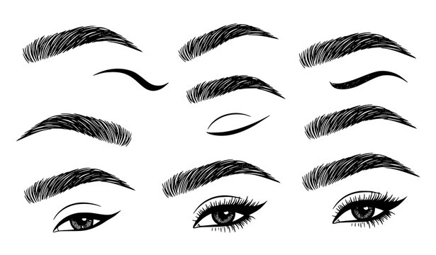 Hand drawn eyebrow shapes collection with thick thin arched and angled brows sketch vector illustration