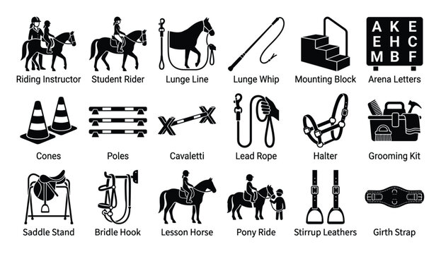 Comprehensive collection of equestrian sport icons depicting horse riding lessons, training equipment, and stable accessories for educational materials, website graphics, and sporting event