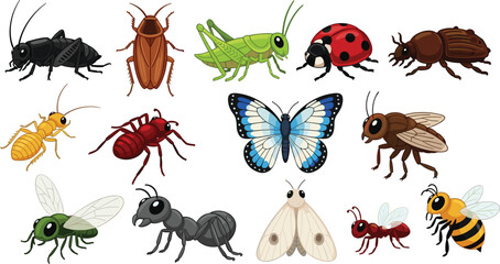 Large collection of colorful cartoon insect vector icons featuring butterfly bee ant ladybug grasshopper beetle and fly isolated on white background for nature education and wildlife design © Mifta
