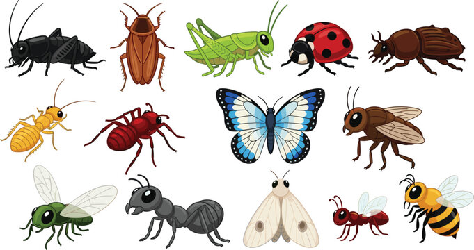 Large collection of colorful cartoon insect vector icons featuring butterfly bee ant ladybug grasshopper beetle and fly isolated on white background for nature education and wildlife design