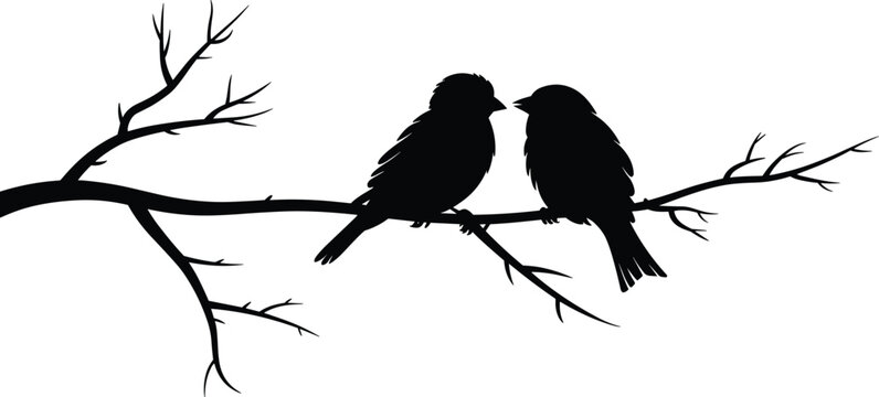 Black silhouette of two birds sitting on a tree branch isolated on white background, flat vector illustration of nature wildlife for graphic design.
