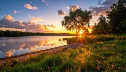 Obraz premium A serene landscape captures a vibrant sunset over a tranquil river, with a solitary tree silhouetted against the golden sky, creating a picturesque and calming scene.
