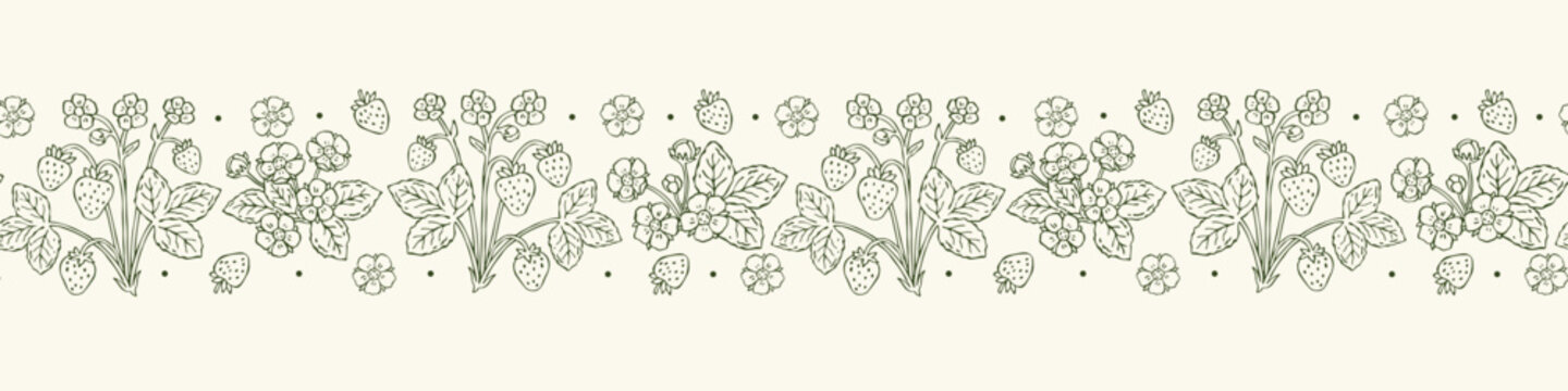 Hand drawn vector strawberry seamless border with strawberry bushes, berries, flowers and leaves. Outline monochrome illustrations for garden, packaging and organic food design