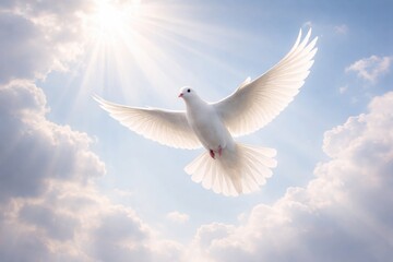Fototapeta premium White dove flying in bright sky symbolizing peace hope freedom and spiritual harmony