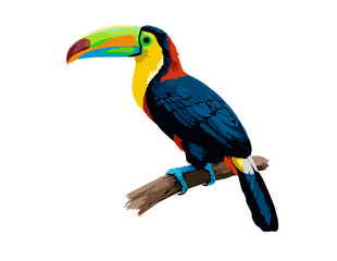 Exotic Toucan on Branch: A vibrantly colored toucan perches serenely on a sturdy branch. Showcasing the unique beauty of tropical birds, with its remarkable beak. © stock market