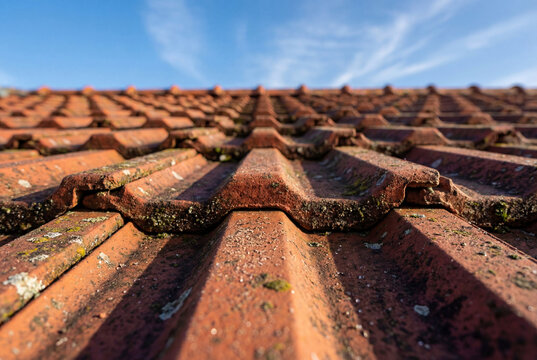 Closeup of weathered red roof tiles with moss against a blue sky