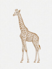 Obraz premium Watercolor Giraffe Illustration on White Background – Wildlife Nursery Wall Art and Safari Branding Graphic