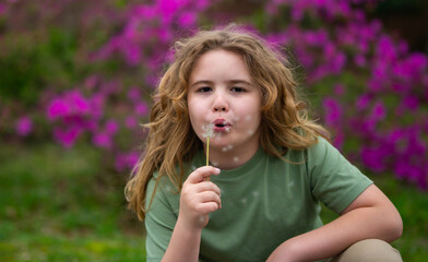 Fototapeta premium Kid blowing dandelion. Carefree childhood mood. Kid blowing dandelion. Nature outdoors park. Kid blowing dandelion. Meadow field background. Kid blowing dandelion.