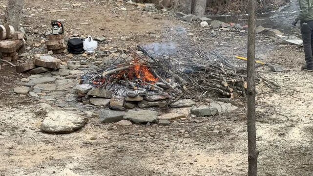 Burning limbs in fire pit