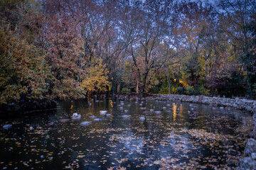 Valladolid ciudada europea de España centrla en invierno al anochecer 