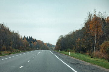 Fototapeta premium A ribbon of gray asphalt unfurls through a vibrant autumn landscape, framed by forests painted with russet and gold under a muted, expansive sky in Russia.
