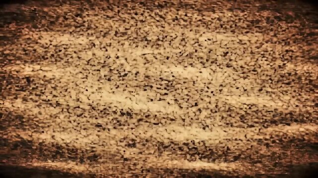 A close-up view of a textured brown surface with a rough sandpaper-like appearance and a darker border