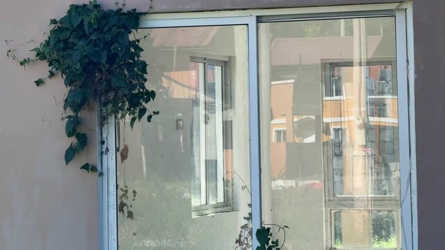 A glass house door outgrown wild grass formed at abandoned house on a residential area