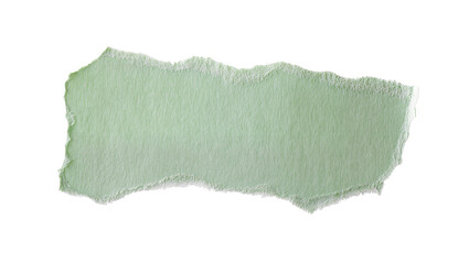 Textured pale green rectangular paper scrap with rough unevenly torn edges, perfectly isolated on transparent background for creative design projects © Nolan