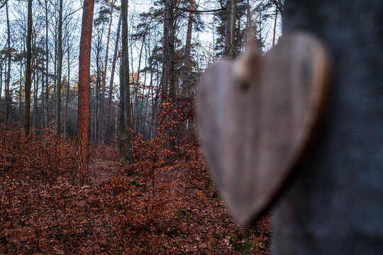 Herz im Friedwald