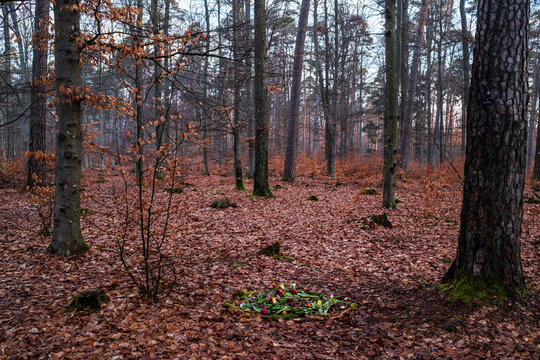 Im Friedwald