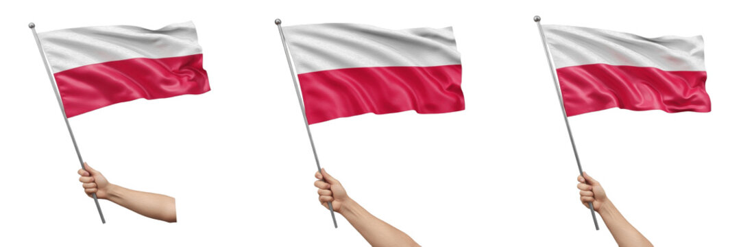 Hand holding Poland flag and waving national flag of Poland isolated on white background, patriotic symbol of Polish national pride and identity