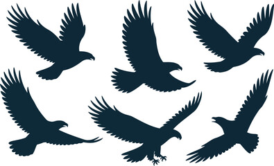 Fototapeta premium A collection of six soaring eagle bird silhouettes isolated on a clean white backdrop