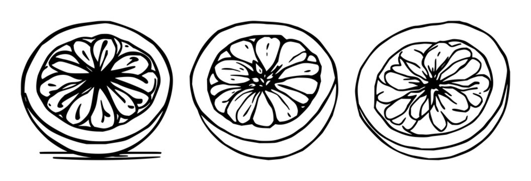 Graphic vector of a passion fruit half, pulp and seed detail, minimalist food art, white background. set with simple line art design featuring line art, illustrations, graphic resources with vector...
