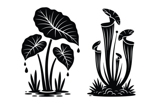 Tropical plants and pitcher plants silhouette vector with black and white