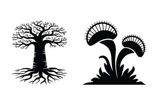 Bare tree with roots and venus flytrap plants with black and white