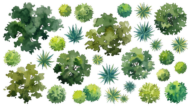 Watercolor Top Down Tree and Shrub Icons for Landscape Architecture Design Projects