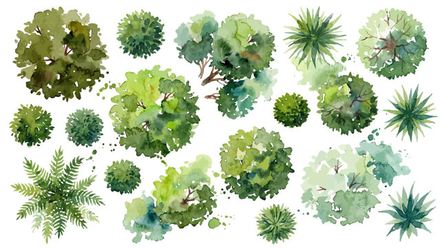 Watercolor Top View Tree Collection For Landscape Design Architecture Landscape Planning Projects