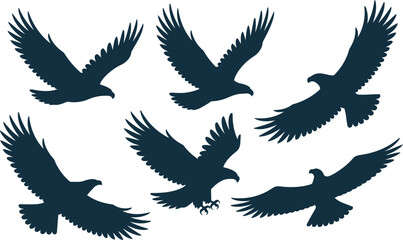 Obraz premium Group of six bold eagle bird silhouettes demonstrating different flight patterns against a clear white
