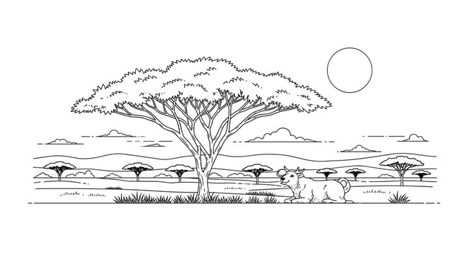 Acacia Tree in Savanna Landscape.